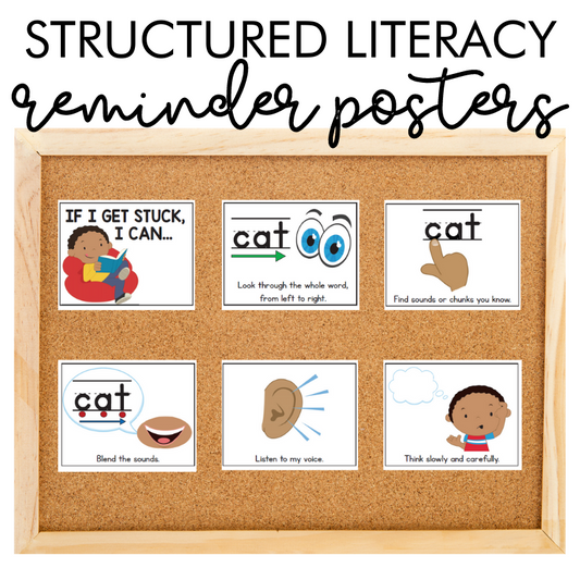 Evidence-Based Reading Instruction